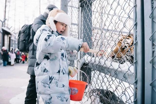 【独立营】小记者冬令营启程!一起感受北纬45°的冰雪童话王国