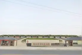 邓州市刘集黄酒：洞藏佳酿飘香，助力乡村生态旅游发展 | 新春走基层图片