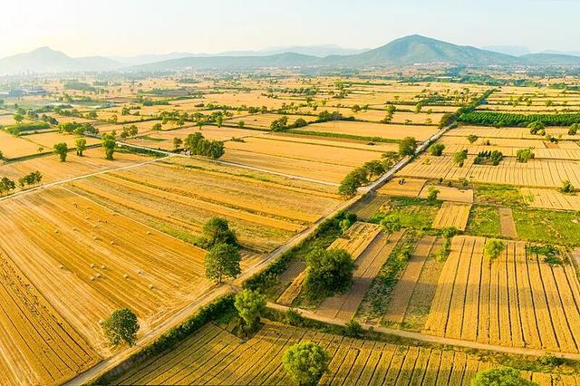 为什么是河南？