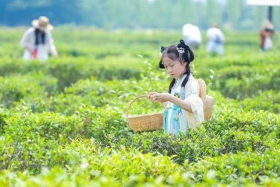 赶快收藏！上海乐高乐园周边“吃住游”全攻略