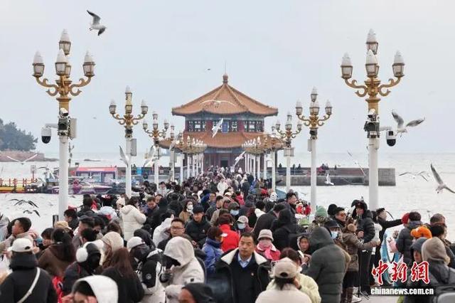 打卡青岛冬日“顶流”，海鸥衔来最生动的城市名片