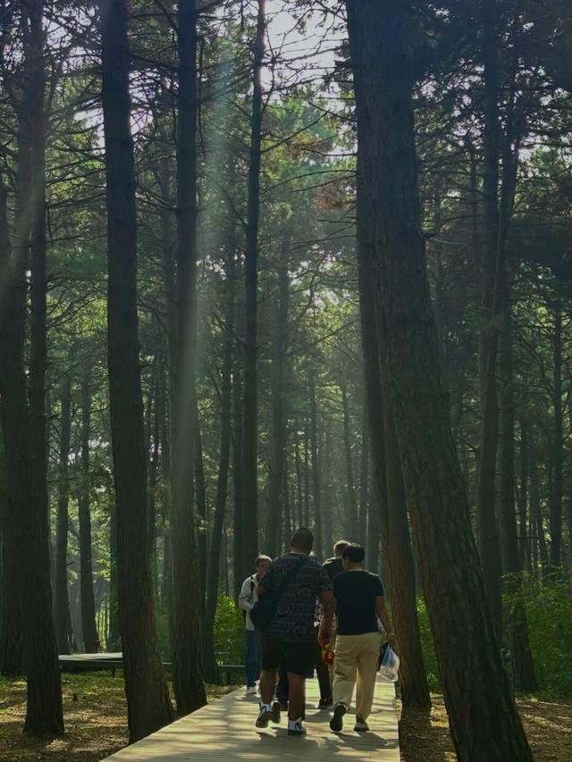 天朗气清 秋意渐浓 一起出游吧→