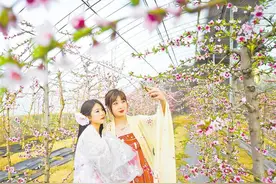这个春天，请您畅游宁夏图片