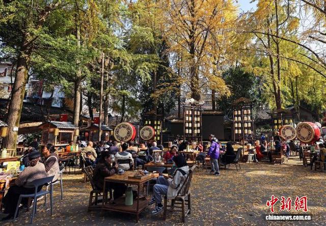 四川崇州：罨画池“金色”银杏引游人