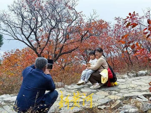 半山苍翠半山红！济南“鸳鸯火锅”惊艳上线 | 新黄河AI音乐