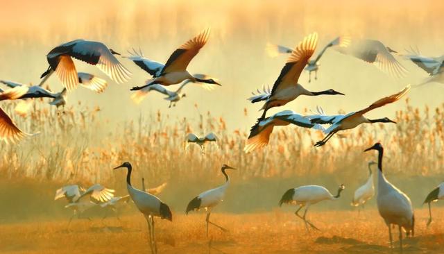 新年游玩线路：老自一条，老己一条，自己一条