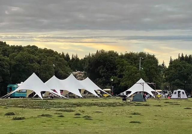 旅超·域见宝山｜跟着非遗美食游宝山，让地道风味，做你的最佳旅行向导