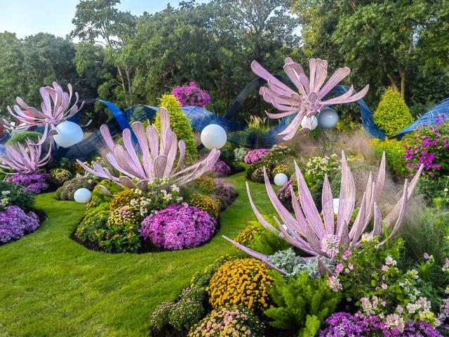 上海菊花展将开幕：展示500个品种菊花，11月中旬是最佳观赏期