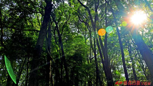 寻觅千年文脉  邂逅山水奇境 ——三条线路解锁沅陵魅力