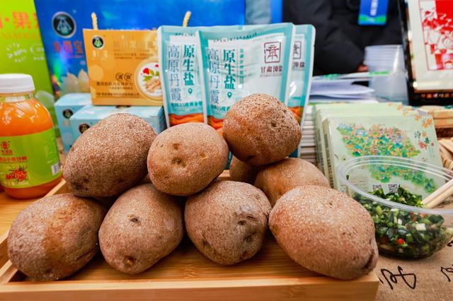 2025年定西市冬春季文化旅游活动推介会举行