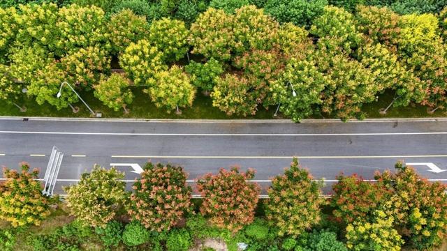 荆州的秋，才是隐藏BOSS！🥰🥰🥰