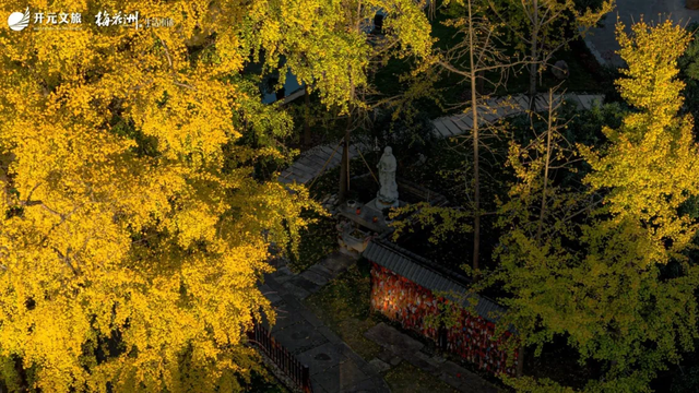 美翻了~这个秋假，来南湖吧！