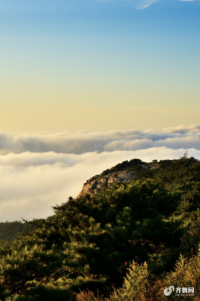 组图丨泰山云雾锁峰峦 静谧景致醉游人