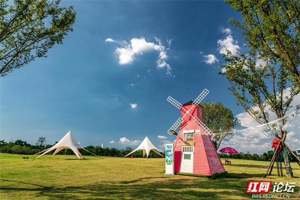 自然就在窗外！大泽湖近自然湿地公园：在城市客厅，邂逅羽翼天堂