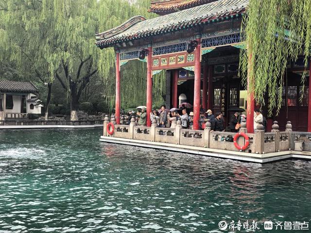 泉水撒欢！济南“泉水游”进入最佳观赏季