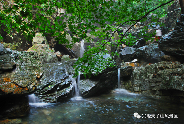 山洪褪去，澄澈归来，天子山景区已开园，快来这里进行一次心灵与自然的洗礼吧！