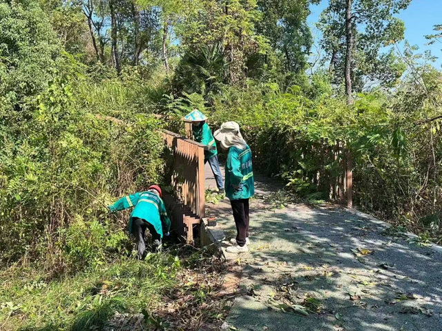 贵溪：几度秋意浓 满城桂花香！