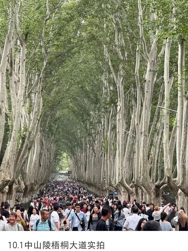 “告诉王维，西出阳关全是人！” 你们最爱看的“人从众”名场面来了！