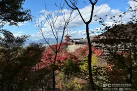 华人在日本：通胀抵消了增长丨消费现场图片