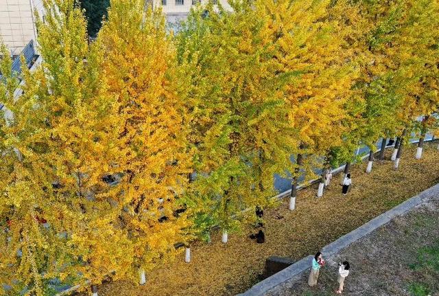 公安，等你入画