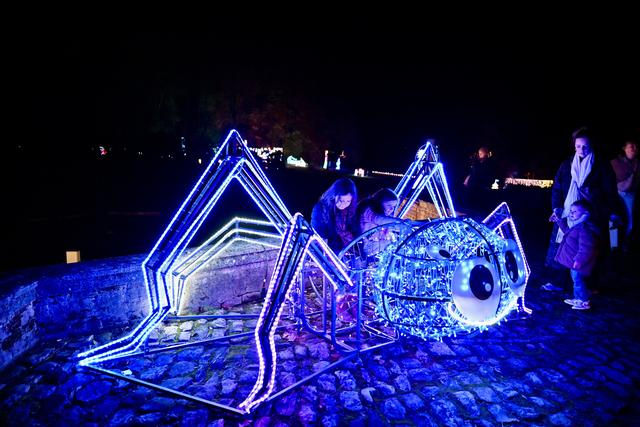 镜观欧洲｜ “光之花园——蓝精灵”主题灯光展在比利时开幕