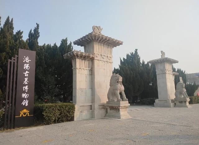 暑期博物馆“加时”！我省多家延长开放时间