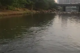 湖北小伙凌晨在长沙救起落水女孩后开导她：花一样的年纪要好好活着！图片