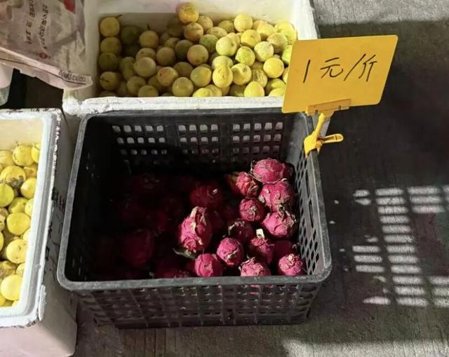 三亚县城，新晋「穷鬼度假」天堂？