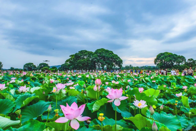 环湖赛开启！骑行“如画江西”，感受“独好风景”！