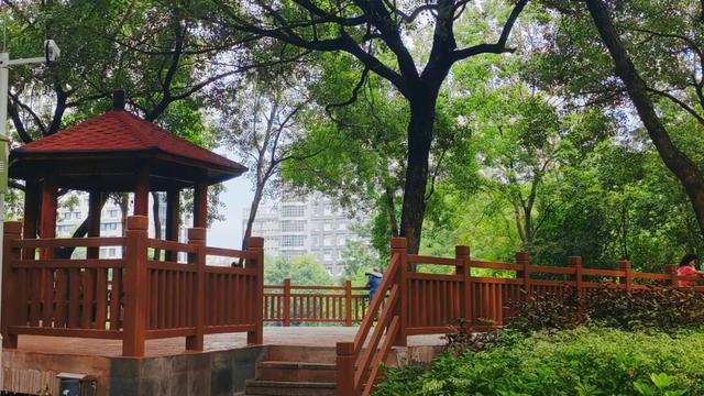柳北烟火 | 趣游雀儿山 →赏花、娱乐、观鸟一站式攻略奉上！