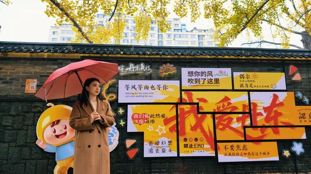 丹东百年银杏大道静候八方来客