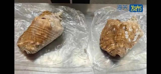 事发上海虹桥机场！海关突然发现异常，开箱后傻眼...