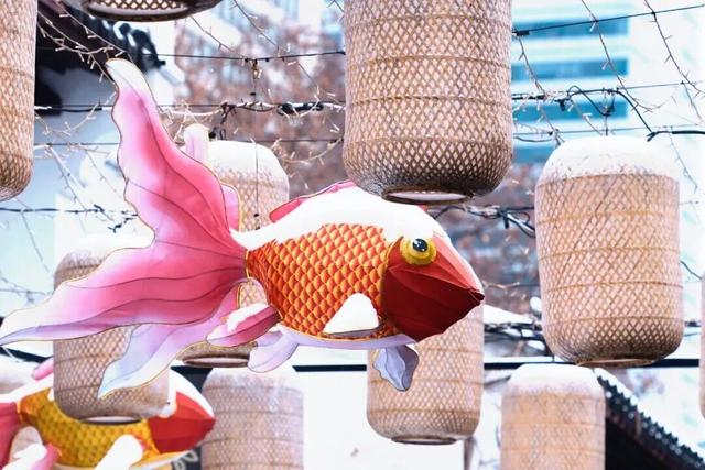 听，秦淮雪落下的声音