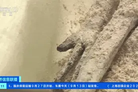 热搜第一！疑似“外星生物”遗骸亮相 DNA显示并非人类图片
