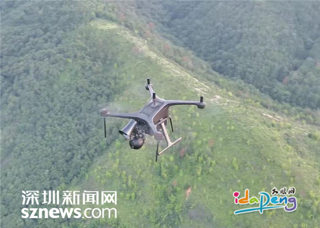 落实国家禁令！深圳大鹏织密徒步穿越安全防护网