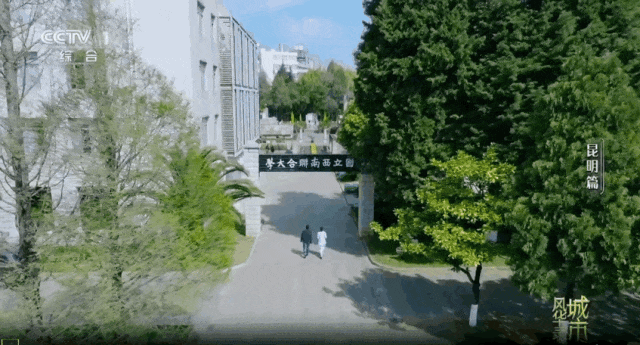 文脉赓续：讲好联大精神的薪火相传