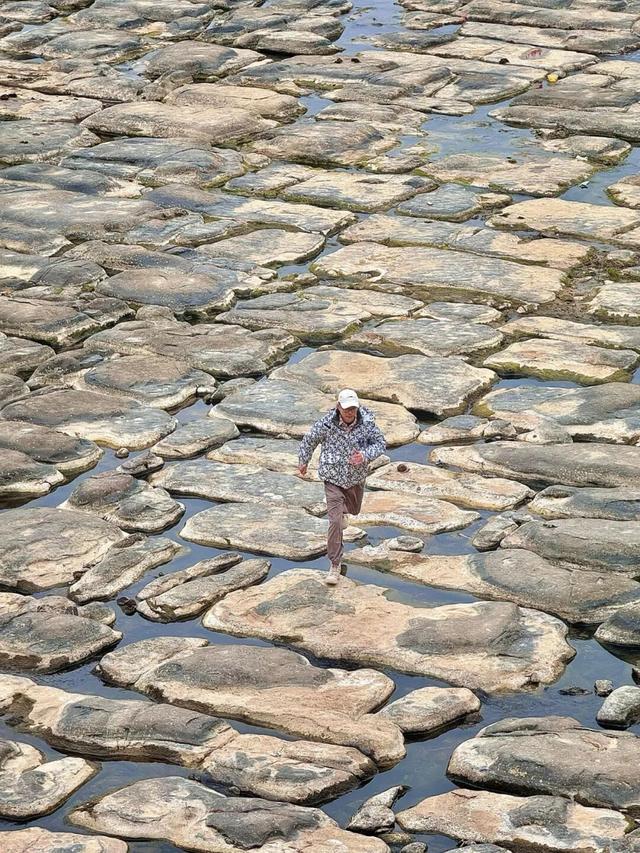 百色田东，“中国芒果之乡”不止芒果！