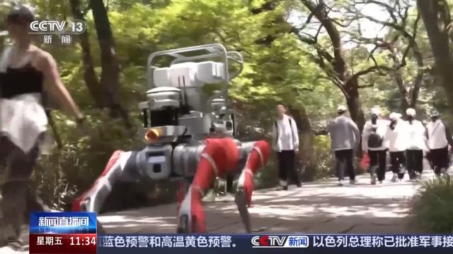 白鹇、金斑喙凤蝶、藏酋猴……看！神奇动物在武夷山