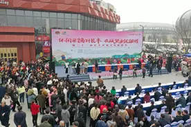 安徽合肥：第二十一届长丰草莓文化旅游节开幕图片