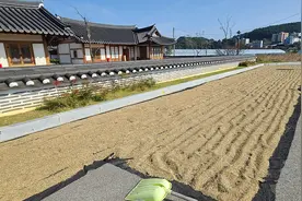 韩国粮价虚高，飞往韩国的飞机上“粮食客”多了图片