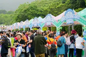 “广西三月三·健康春之声”青秀山主会场活动举办图片