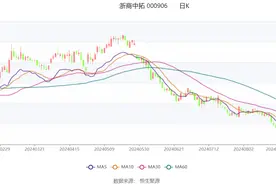 浙商中拓：2024年上半年净利润3.19亿元 同比下降30.49%图片