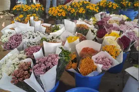 粉色系鲜花走俏！母亲节成都多商家康乃馨卖断货图片