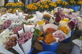 粉色系鲜花走俏！母亲节成都多商家康乃馨卖断货图片
