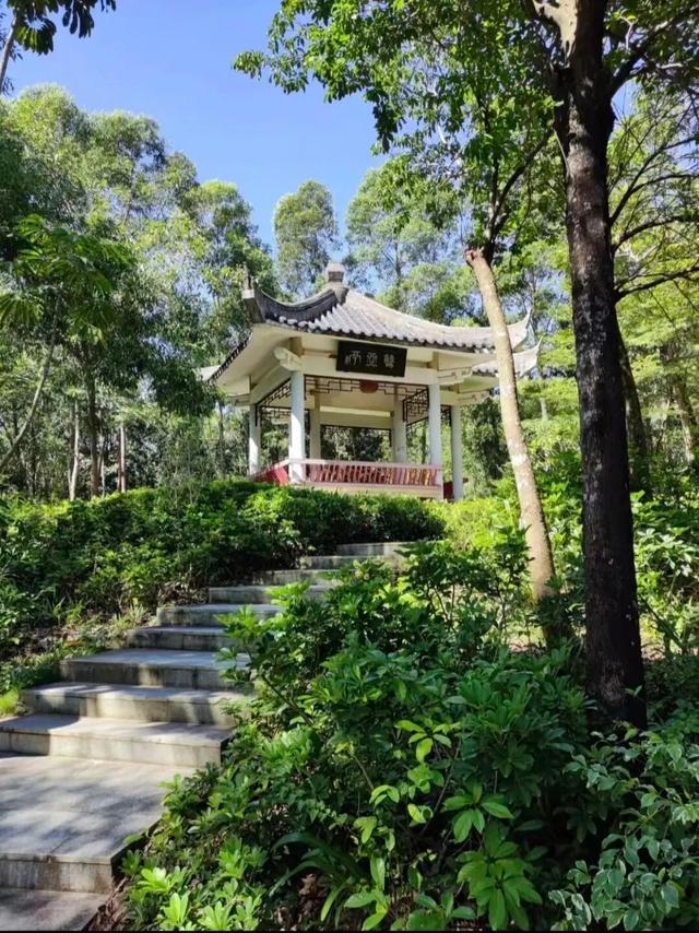 山的那边真的是海吗？为了探求真相，我决定周末就出发……