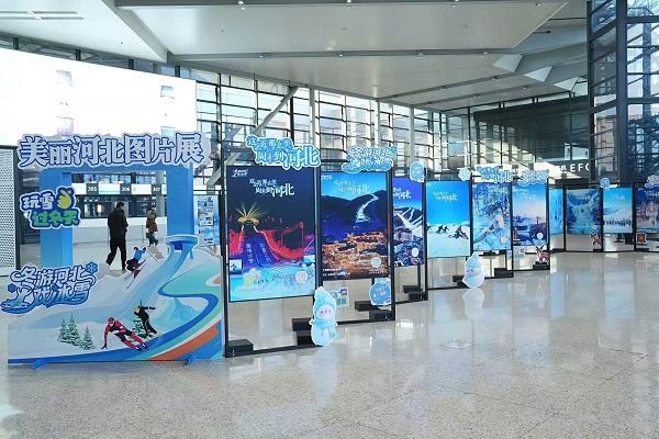 浦江潮涌燕赵风，河北文旅上海推介会燃动冬季出游热潮