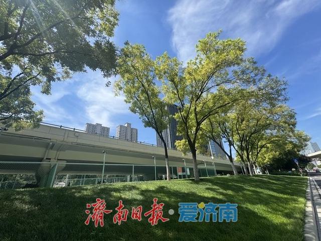初秋“上新”！济南燕山立交桥下景致迷人