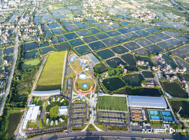 颜值出圈、产业升级、共建共享！“百千万工程”的佛山实践