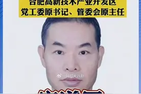 安徽合肥市高新区大老虎“宋道军”被双开…图片