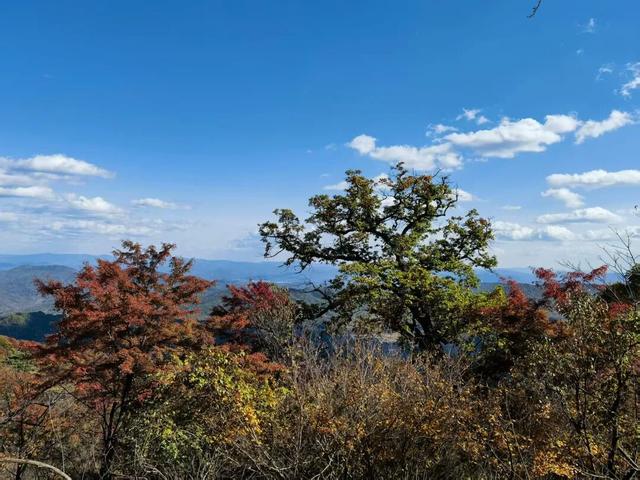 省媒看白山 | 吉林日报：四方山中秋意浓 层林尽染似画卷
